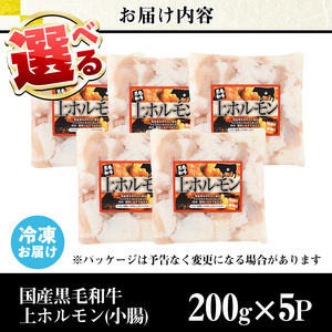 ホルモン 黒毛和牛 上ホルモン (計1kg) 【カミチク】 No.1001-02