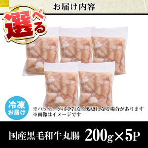 No.1001-03 黒毛和牛丸腸(計1kg)国産 九州産 牛肉 黒毛和牛 和牛 ホルモン 焼肉 鉄板焼き もつ鍋 冷凍 小分け 寄附額改定【カミチク】