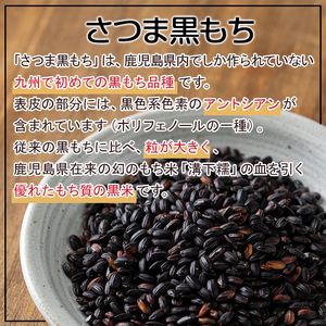 No.1004 鹿児島県産玄米さつま黒もち(300g×6袋・計1.8kg) 国産 九州産 鹿児島 玄米 黒米 健康志向食品 玄米ごはん 混ぜご飯 ご飯 ごはん【鹿児島パールライス】