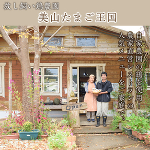 No.1025-B ＜3種から選べる＞桜島大根とオリーブ鶏のサムゲタン(5袋・黒米)【美山たまご王国】