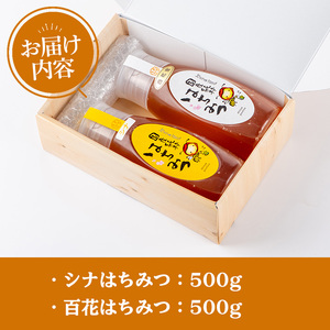 新屋養蜂場定番はちみつ2本セット(シナはちみつ500g、百花はちみつ500g) 蜂蜜 ハチミツ 純粋はちみつ 【新屋養蜂場】A-430