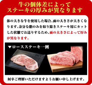 日本一の牛肉！4等級以上！鹿児島県産黒毛和牛ロースステーキ3枚セット(3枚・計約600g) 黒毛和牛 ステーキ 冷凍【ナンチク】B-1-02