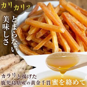 ＜定期便・全3回＞ 鹿児島県産 黄金千貫 芋けんぴ 芋かりんとう (80g×30袋・合計2.4kg×3回) 【曽於市観光協会】T15-v02