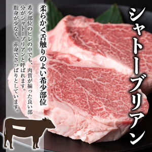 鹿児島 和牛 シャトーブリアン ステーキ (計300g・2枚) 希少部位【居食肉】B165-v02