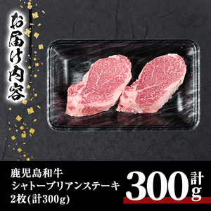 鹿児島 和牛 シャトーブリアン ステーキ (計300g・2枚) 希少部位【居食肉】B165-v02