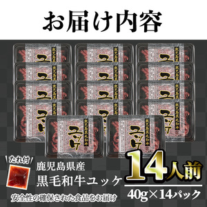 鹿児島県産黒毛和牛ユッケ14人前(40g×14パック) 国産 ユッケ 黒毛和牛【カミチク】A490-v01