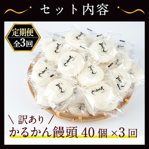 ＜定期便・全3回＞【訳あり】 鹿児島 郷土菓子 かるかん 饅頭 和菓子 (40個×3回・計120個) 【津曲食品】T27