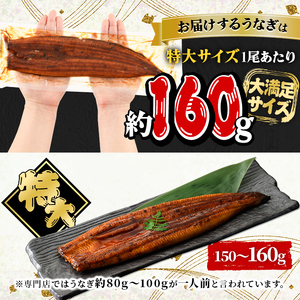 鹿児島県産うなぎ蒲焼3種セット(合計520g・ 長焼き約160g×2尾・カット約50g×2枚・きざみ約50g×2袋) タレ・山椒付き 鰻 ウナギ 国産【西日本養鰻】A508-v01