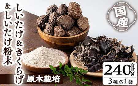 きのこ 国産 しいたけ 粉末 きくらげ セット(合計240g・3種)【九南サービス(タマチャンショップ)】A503-v01