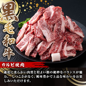 A5等級 鹿児島県産 黒毛和牛 カルビ 焼肉 (計1kg・200g×5パック×1回)  黒毛和牛【カミチク】A491-v01