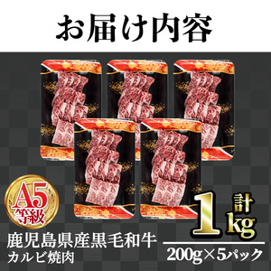 A5等級 鹿児島県産 黒毛和牛 カルビ 焼肉 (計1kg・200g×5パック×1回)  黒毛和牛【カミチク】A491-v01