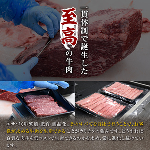 鹿児島県産黒毛和牛肩ローススライス(計1.2kg・200g×6パック) 肩ロース 黒毛和牛 小分け【カミチク】A492-v01