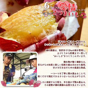 ＜先行予約受付中！2026年8月以降順次発送予定！＞鹿児島県 曽於市産 新物 紅はるか(10kg) 芋 さつまいも【瀬崎農園】A350-v02