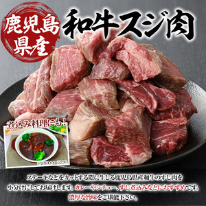 鹿児島県産 和牛 スジ肉 計2.25kg(250g×8P+1P)【ビーフ倉薗】A522-v01