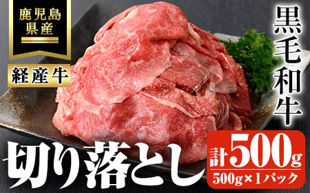 鹿児島県産 黒毛和牛 経産牛 おためし 切り落とし 計500g(500g×1パック)【ビーフ倉薗】A523