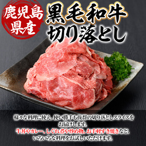 鹿児島県産 黒毛和牛 経産牛 おためし 切り落とし 計500g(500g×1パック)【ビーフ倉薗】A523