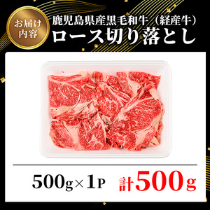 鹿児島県産 黒毛和牛 経産牛 ロース 不揃い 切り落とし 焼肉 計500g(500g×1パック)【ビーフ倉薗】A525