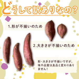 【数量限定企画実施中!】<2025年11月上旬より順次発送予定!>さつまいも シルクスイート 訳あり(計5.5kg)【みやびファーム】 A460-v01