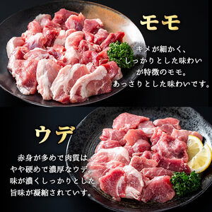 かごしま 味わい 黒豚 焼肉 ファミリーパック (合計1.2kg)【KNOT】A555