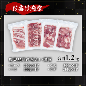 かごしま 味わい 黒豚 焼肉 ファミリーパック (合計1.2kg)【KNOT】A555