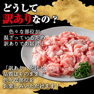【訳あり】鹿児島県産 豚肉 霜降り トロ豚 こま切れ セット(計1.5kg・300g×5P)【KNOT】 A567