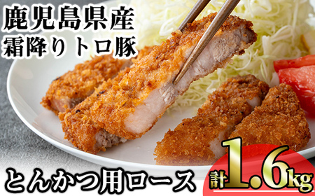 鹿児島県産 豚肉 霜降り トロ豚 とんかつ ロース(計1.6kg・200g×8枚)【KNOT】 A572-v01