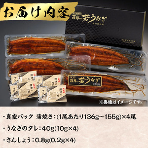 鹿児島県産 うなぎ 蒲焼 (1尾あたり136g～155g×4尾、タレ・山椒付き)【西日本養鰻】A584