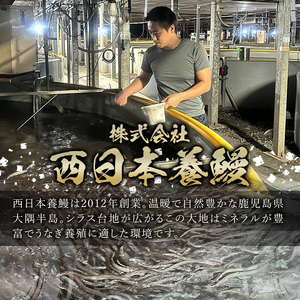 鹿児島県産 うなぎ 半身 カット セット (100g×4パック、タレ・山椒付き)【西日本養鰻】A585