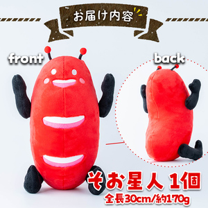 【数量限定】そお星人 ぬいぐるみ ゆるキャラ(1個・全長30cm / 約170g)【曽於市観光協会】 A604