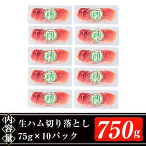 <2026年1月中に発送予定> 国産 豚 生ハム 切り落とし 75g×10P(計750g) おつまみ 小分け 【ナンチク】A302-01-v01
