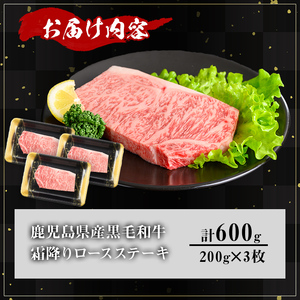 鹿児島県産 A5等級 黒毛和牛 霜降り ロース ステーキ(計600g)【KNOT】 A633
