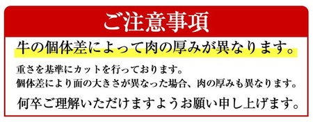 鹿児島県産 A5等級 黒毛和牛 霜降り ロース ステーキ(計600g)【KNOT】 A633