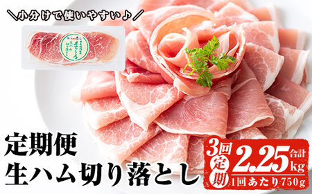 <定期便・全3回(連続)> 鹿児島 国産 豚 生ハム 切り落とし(計2.25kg/計750g・75g×10P×3回) 【ナンチク】 T29