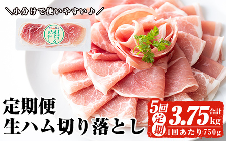 <定期便・全5回(連続)> 鹿児島 国産 豚 生ハム 切り落とし(計3.75kg/計750g・75g×10P×5回) 【ナンチク】 T30