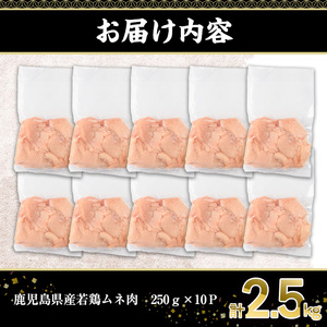鹿児島県産 若鶏 ムネ肉 切身(計2.5kg・250g×10P)【株式会社羽根】A574