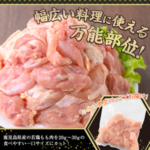 鹿児島県産若鶏もも肉(計2.5kg・250g×10P) 若鶏 もも 冷凍【株式会社羽根】A869