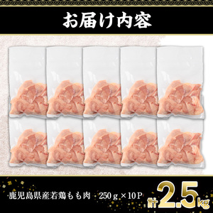 鹿児島県産若鶏もも肉(計2.5kg・250g×10P) 若鶏 もも 冷凍【株式会社羽根】A869