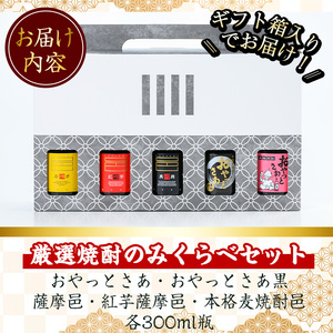厳選 焼酎 飲み比べ セット(300ml×5本・計1.5L) 芋 麦【岩川醸造】A658