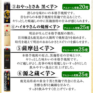 お好きな銘柄が選べる 紙パック 6本 セット(1800mL×6本) 焼酎 飲み比べ 【大隅家】 B187-v01