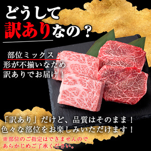 【訳あり】鹿児島県産 A5等級 黒毛和牛 不揃い カット ステーキ(ロース、モモ、ウデミックス・計1000g) 牛肉【KNOT】 B193