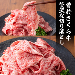 曽於さくら牛 黒毛和牛 贅沢 切り落とし (合計500g)【福永産業】A660