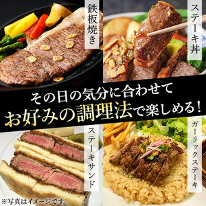 ロースステーキ 1枚セット＜1枚・計約250g＞ 牛肉 4等級以上 鹿児島県産 黒毛和牛【ナンチク】B1-00-v01