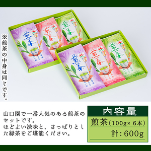＜お茶 生産量 日本一 の 鹿児島県産！＞小さいお茶屋の 煎茶 セット(煎茶100g×6本・合計600g) お茶 緑茶 加工品【お茶の山口園】A185-v01