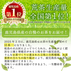 お茶 緑茶 飲料 鹿児島県産 お茶屋 深蒸し茶 麗椿(茶葉100g×7本・合計700g)【お茶の山口園】 B109-v01