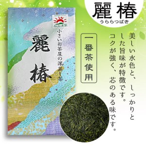 お茶 緑茶 飲料 鹿児島県産 お茶屋 深蒸し茶 麗椿(茶葉100g×7本・合計700g)【お茶の山口園】 B109-v01