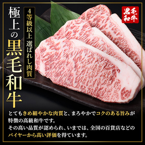 ロース ステーキ 4枚セット <4枚・計約1kg> 牛肉 4等級以上 鹿児島県産 黒毛和牛 【ナンチク】A782-v05