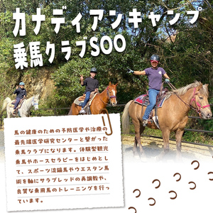 【乗馬 体験 チケット】ミニ 遠乗り 20分~初心者 向け、5歳 以上~(1名様)【曽於市観光協会】 A783