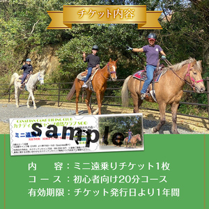 【乗馬 体験 チケット】ミニ 遠乗り 20分~初心者 向け、5歳 以上~(1名様)【曽於市観光協会】 A783