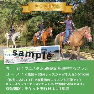 【 乗馬技能認定取得 チケット 】初心者向け ライセンス 取得 プラン (乗馬技能認定 ウエスタン5級) 30分レッスン×10回 小学1年生以上 ( 1名様・テキスト受験料込み) 体験 【曽於市観光協会】 D41