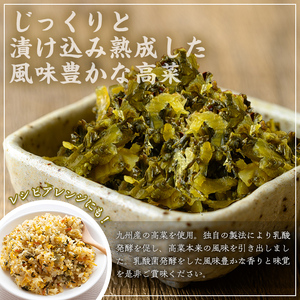 九州 たかな (計2kg・200g×10袋) お漬物 高菜 常温【曽於市観光協会】A743